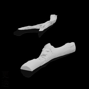 美女写真福利视频
